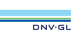 DNV official logo